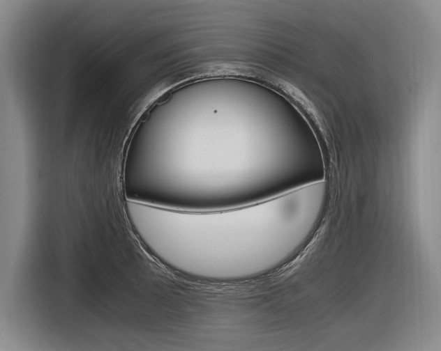 X0000116621089200912110936