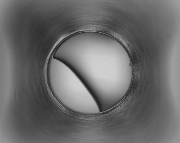 X0000116621091200912110936