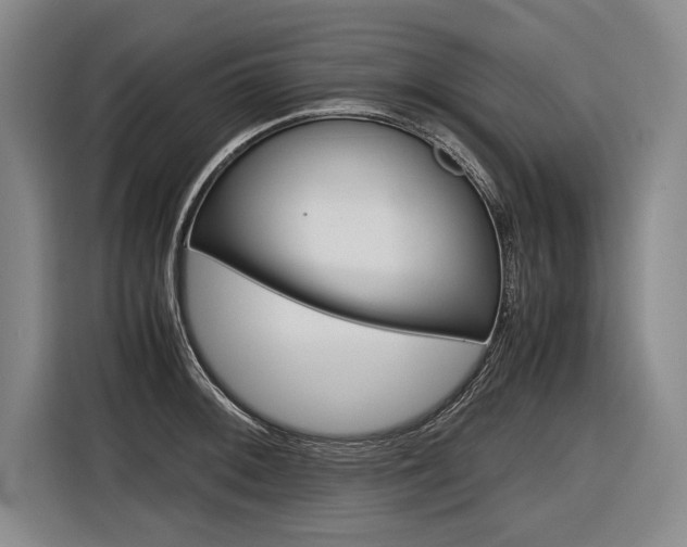X0000116621092200912110936