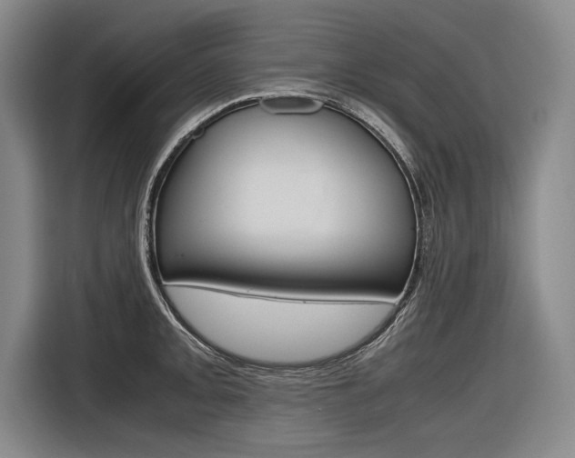 X0000116621093200912110936