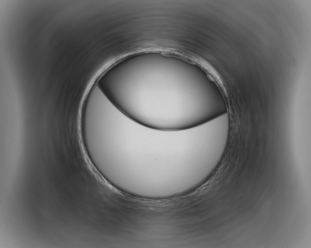 X0000116621096200912110936
