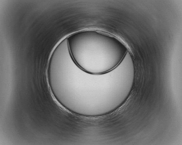 X0000116621100200912110936