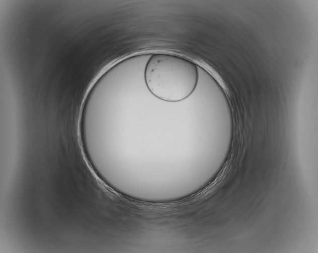 X0000116621101200912110936