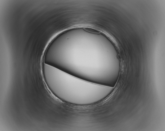 X0000116621102200912110936
