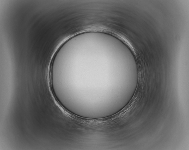 X0000116621103200912110936