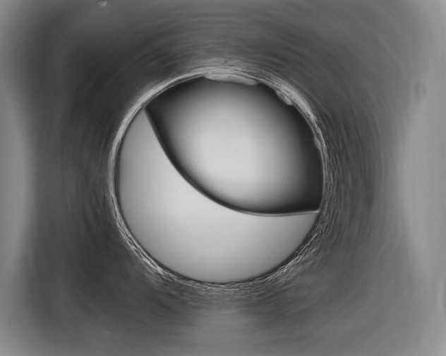 X0000116621104200912110936