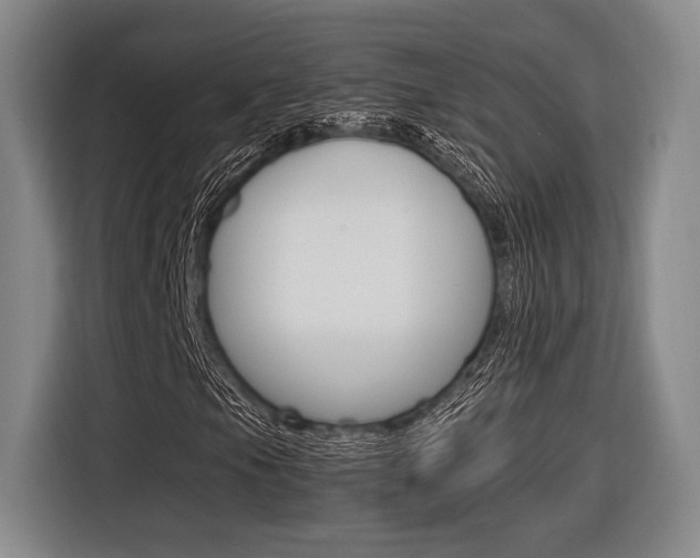 X0000116621105200912110935
