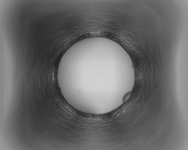 X0000116621106200912110935