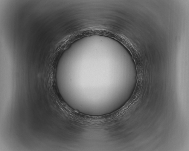X0000116621110200912110935