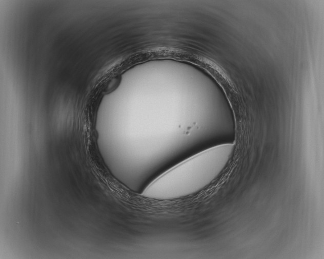 X0000116621111200912110935