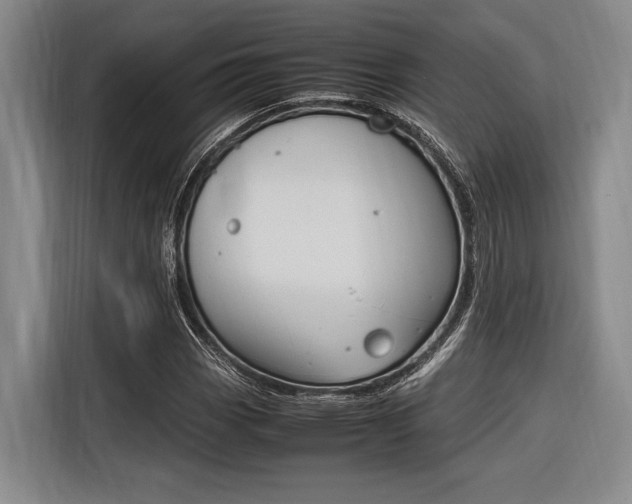 X0000116621113200912110935