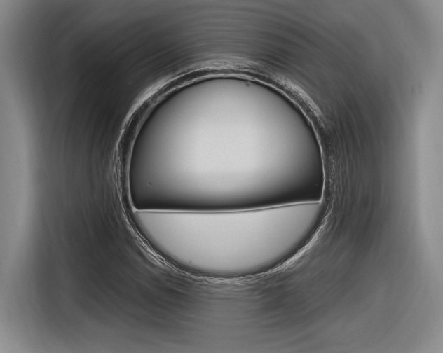 X0000116621114200912110935