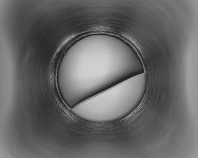 X0000116621115200912110935