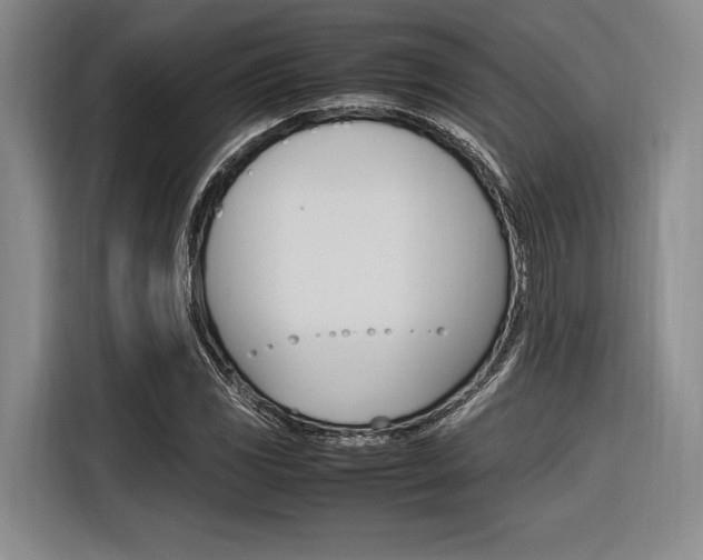 X0000116621117200912110935