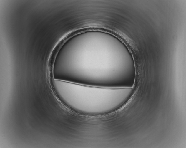X0000116621118200912110935