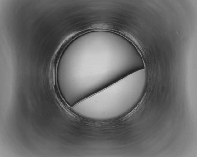 X0000116621123200912110935