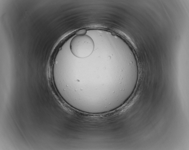 X0000116621125200912110935