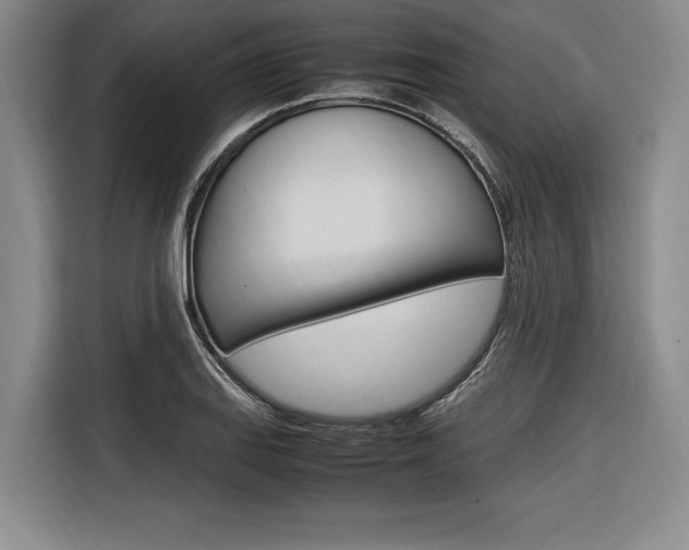 X0000116621127200912110935