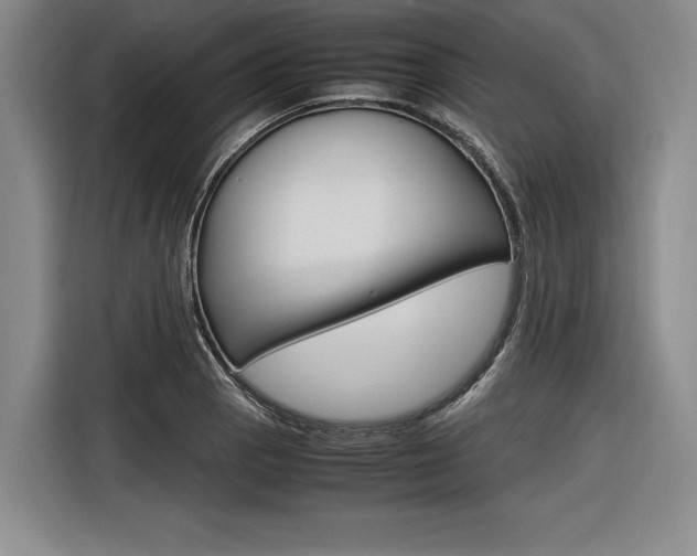 X0000116621129200912110935
