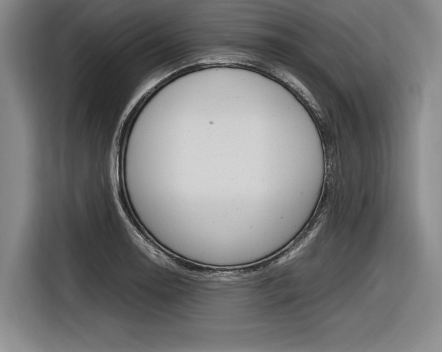 X0000116621130200912110935