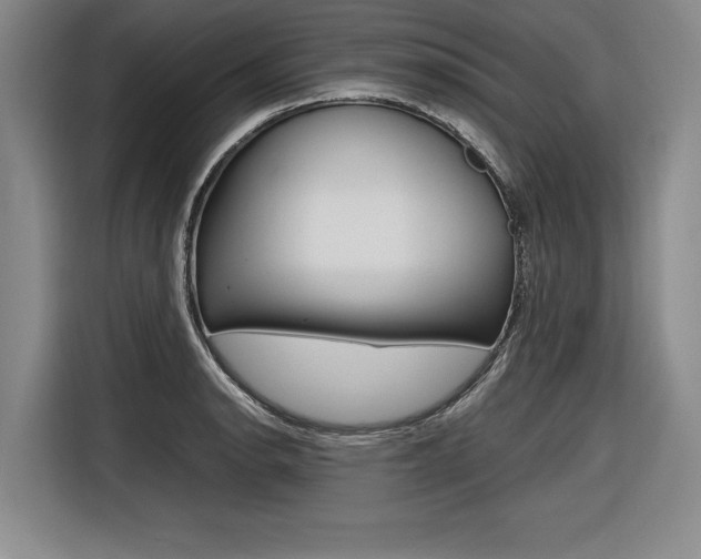 X0000116621134200912110935
