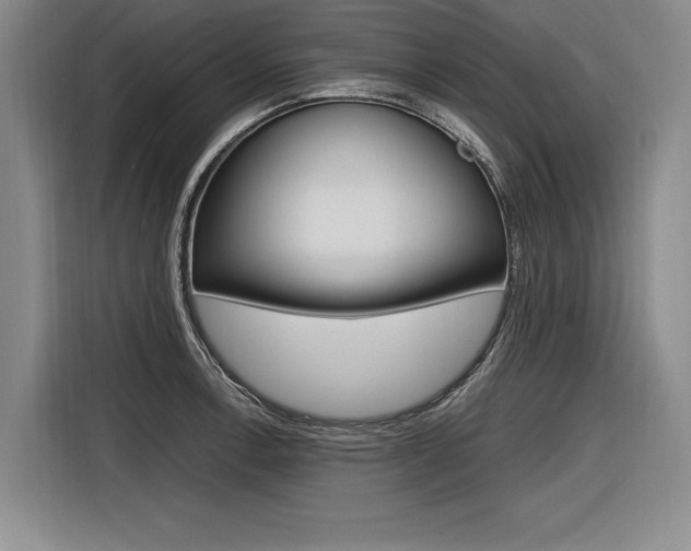 X0000116621138200912110935
