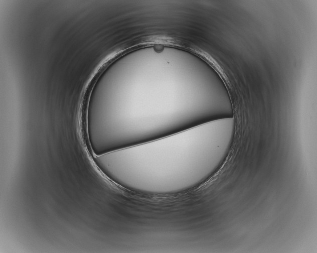 X0000116621139200912110935