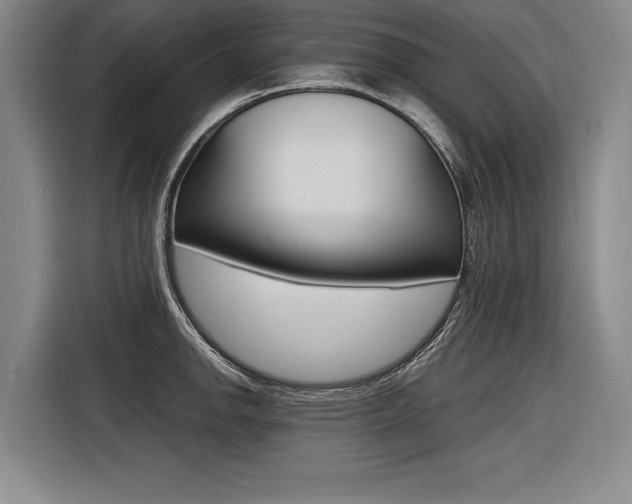 X0000116621142200912110935