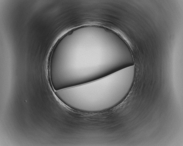 X0000116621143200912110935
