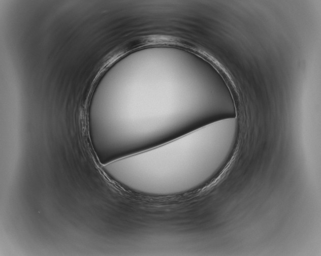 X0000116621145200912110936