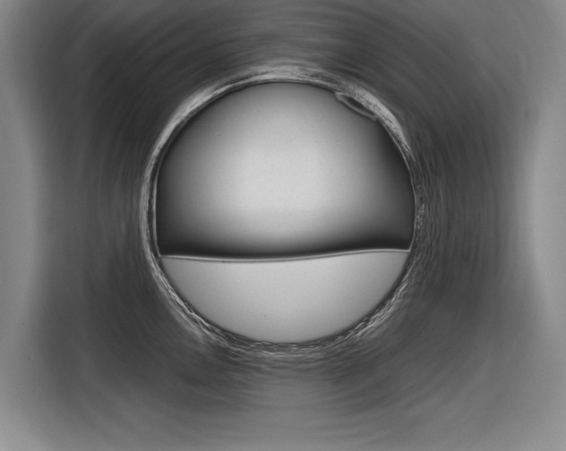 X0000116621146200912110936