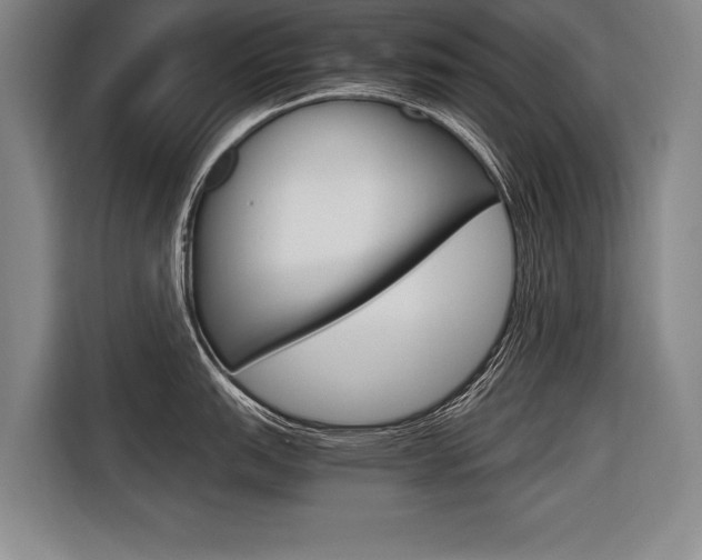 X0000116621151200912110936