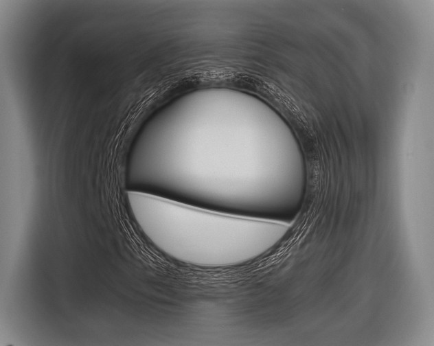 X0000116621153200912110935