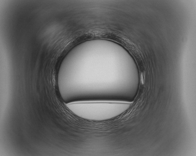 X0000116621155200912110935