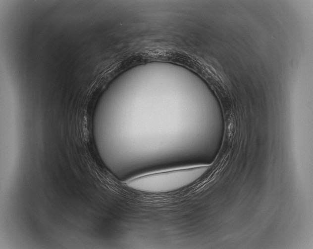 X0000116621156200912110935