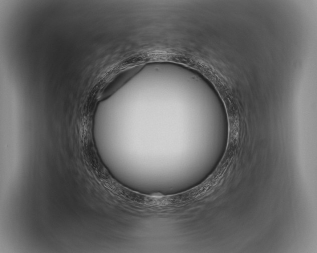 X0000116621157200912110935