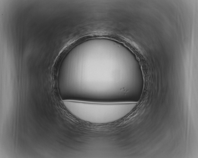 X0000116621160200912110935