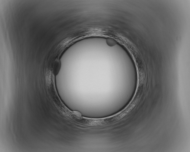 X0000116621161200912110935