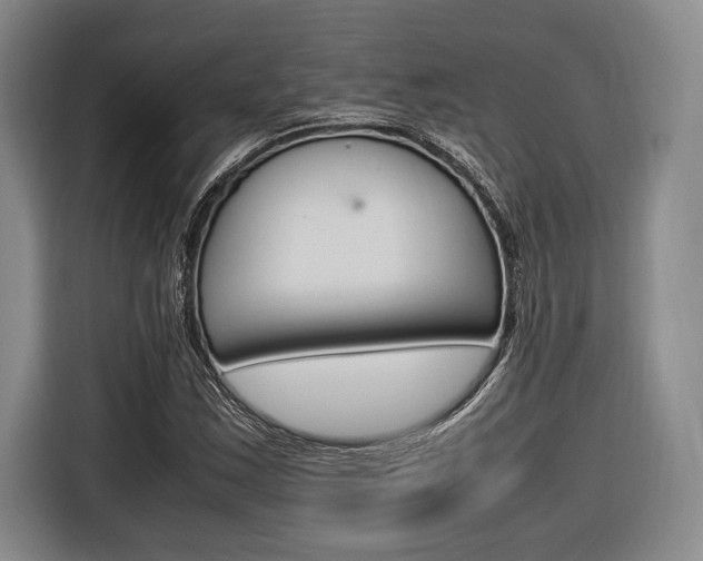X0000116621163200912110935