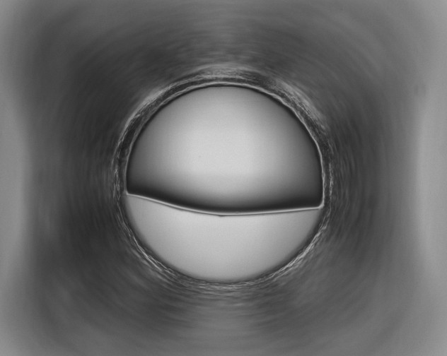 X0000116621164200912110935