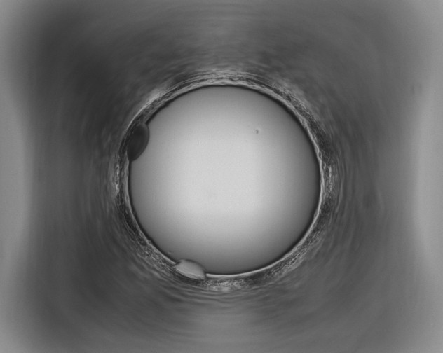 X0000116621165200912110935