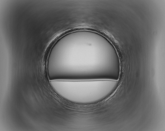 X0000116621167200912110935