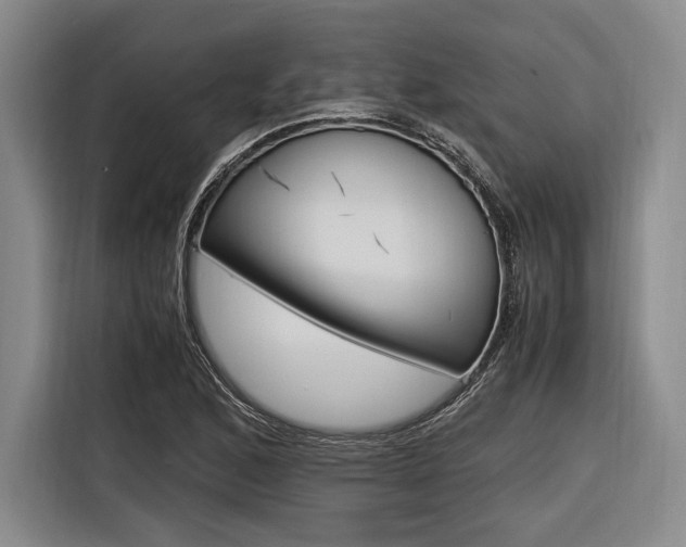 X0000116621168200912110935