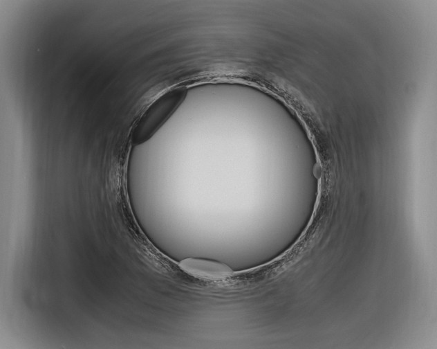 X0000116621169200912110935
