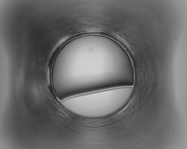 X0000116621171200912110935