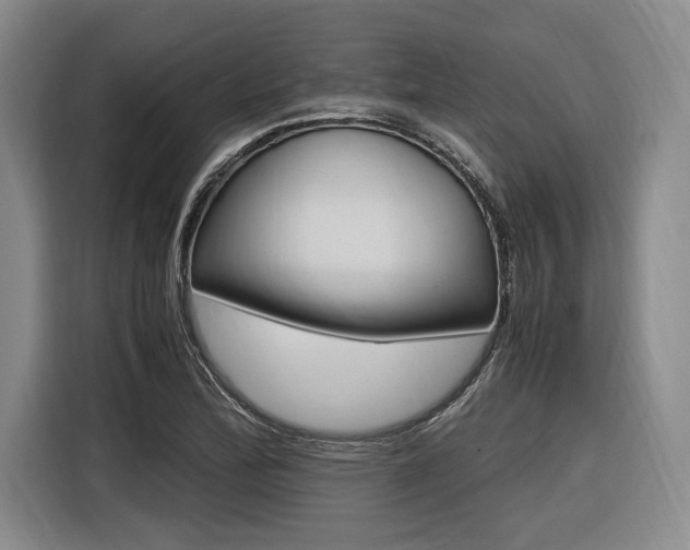 X0000116621172200912110935