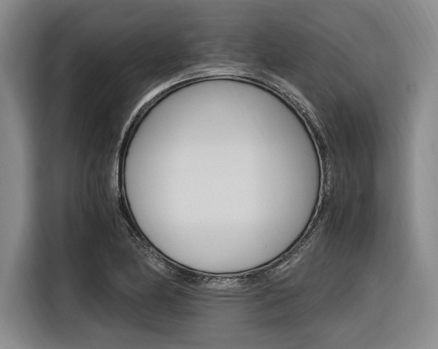 X0000116621174200912110935
