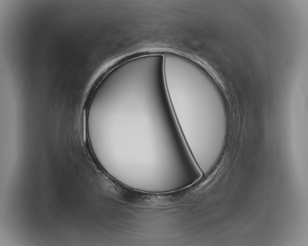 X0000116621175200912110935