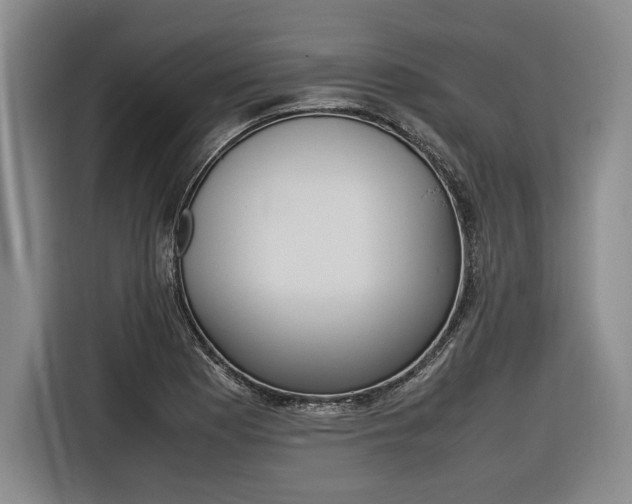 X0000116621177200912110935