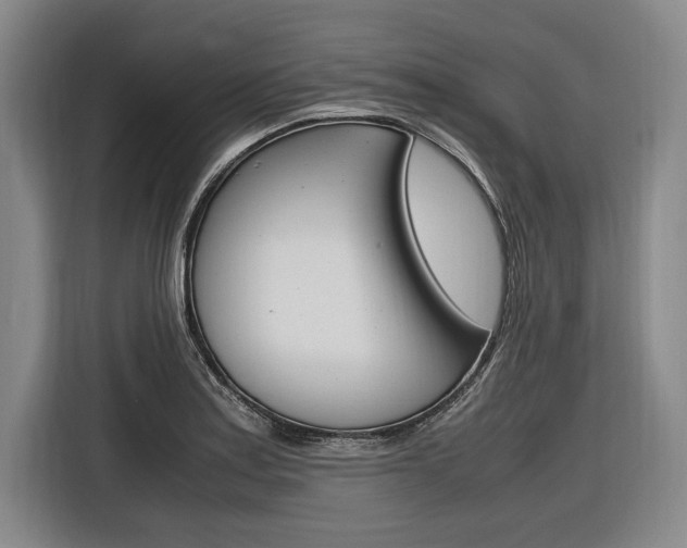 X0000116621179200912110935